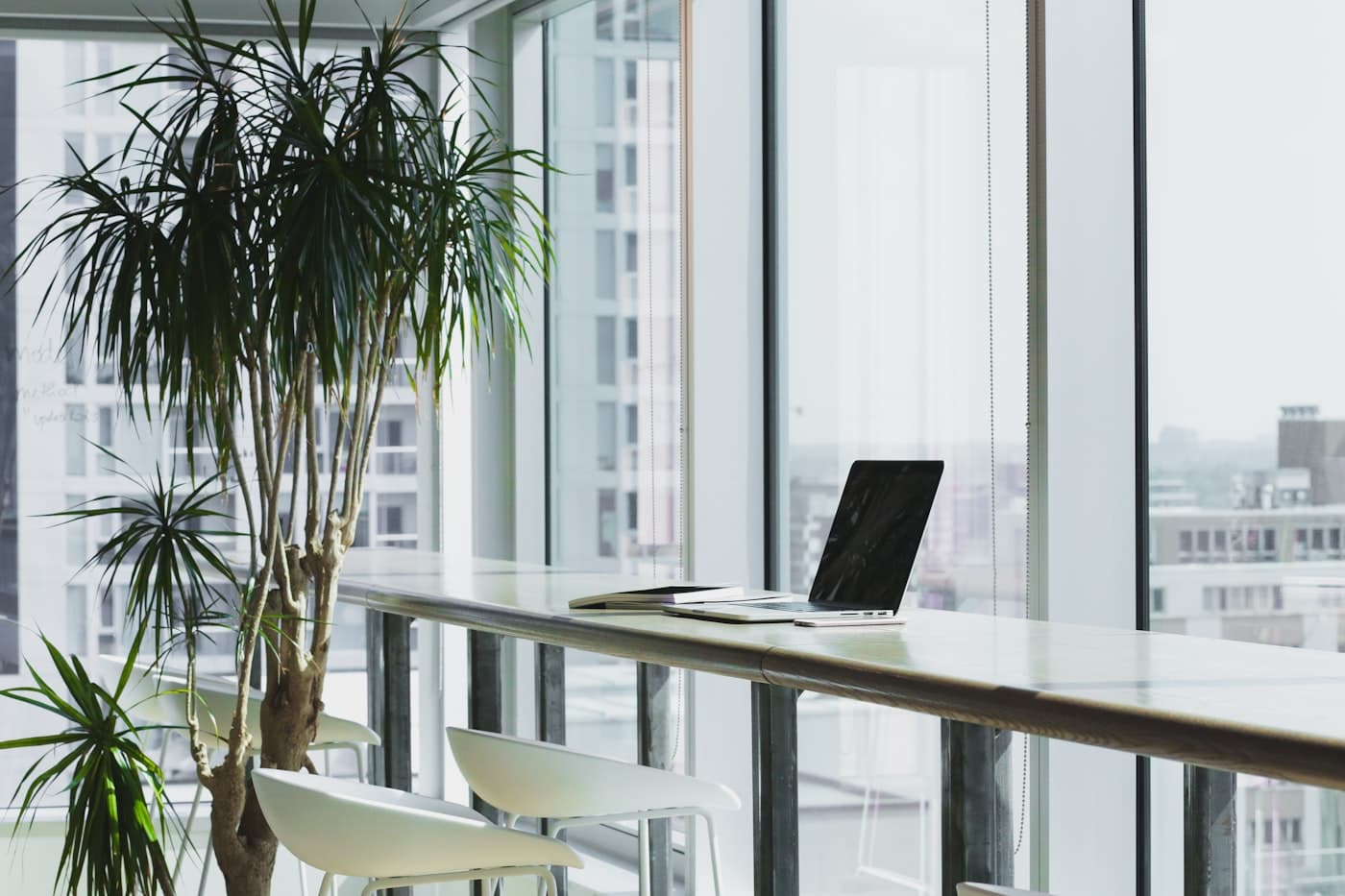 Daylight falling across a quiet meeting table in a professional office.